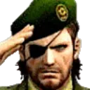 salute