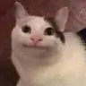 mmm