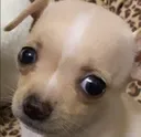 qUeeE