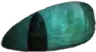 eye_r
