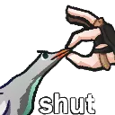 HaiShut HaiShut