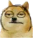 dogeguy