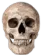 bruhg