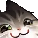 smugCat
