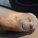 potato