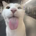 silly
