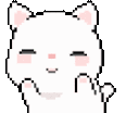 CS_cutecat_dance