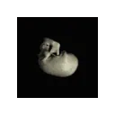 skullcube