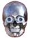 skull skull