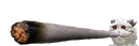 PoroBlunt