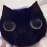 Cate Cate