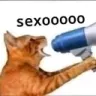 sexooo