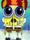 spongeK9