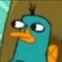 perrywhat
