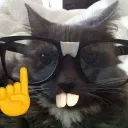 Nerdcat Nerdcat Discord Emoji