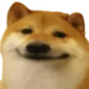 dogesmile