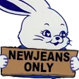 newjeansonly Discord Emoji