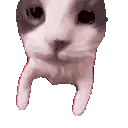 CatPow