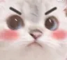 z_ouu_but_angy