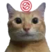 brainlag brainlag
