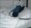 wakeywakey wakeywakey