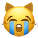 Sob Cat Discord Emoji
