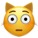 Flushed Cat flushed_cat Discord Emoji