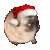 Pugdance