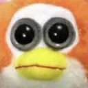 wa
