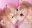kittens_love