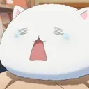 Cat5 cat5 Discord Emoji