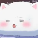 Cat9 cat9 Discord Emoji