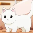 Cat12 cat12 Discord Emoji