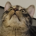 saywut