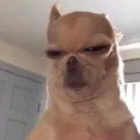 emoji_49 emoji_49