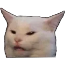 ot_angycat