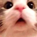 S2_al_pog Discord Emoji