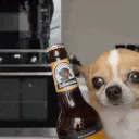 drunkdog