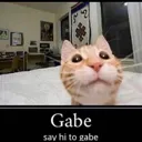 gabe gabe