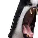 emoji_35
