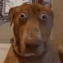 HUHHH