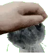 FinnegasPat