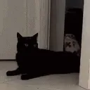 yoink