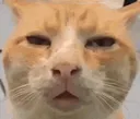 huh