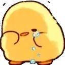 KAT_loli_dungmangbe