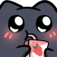 SIPPING
