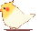 birdRolling