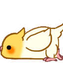 birdScoot