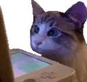 WatchingStream