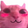 Kitty_Happy_CatBlush Kitty_Happy_CatBlush